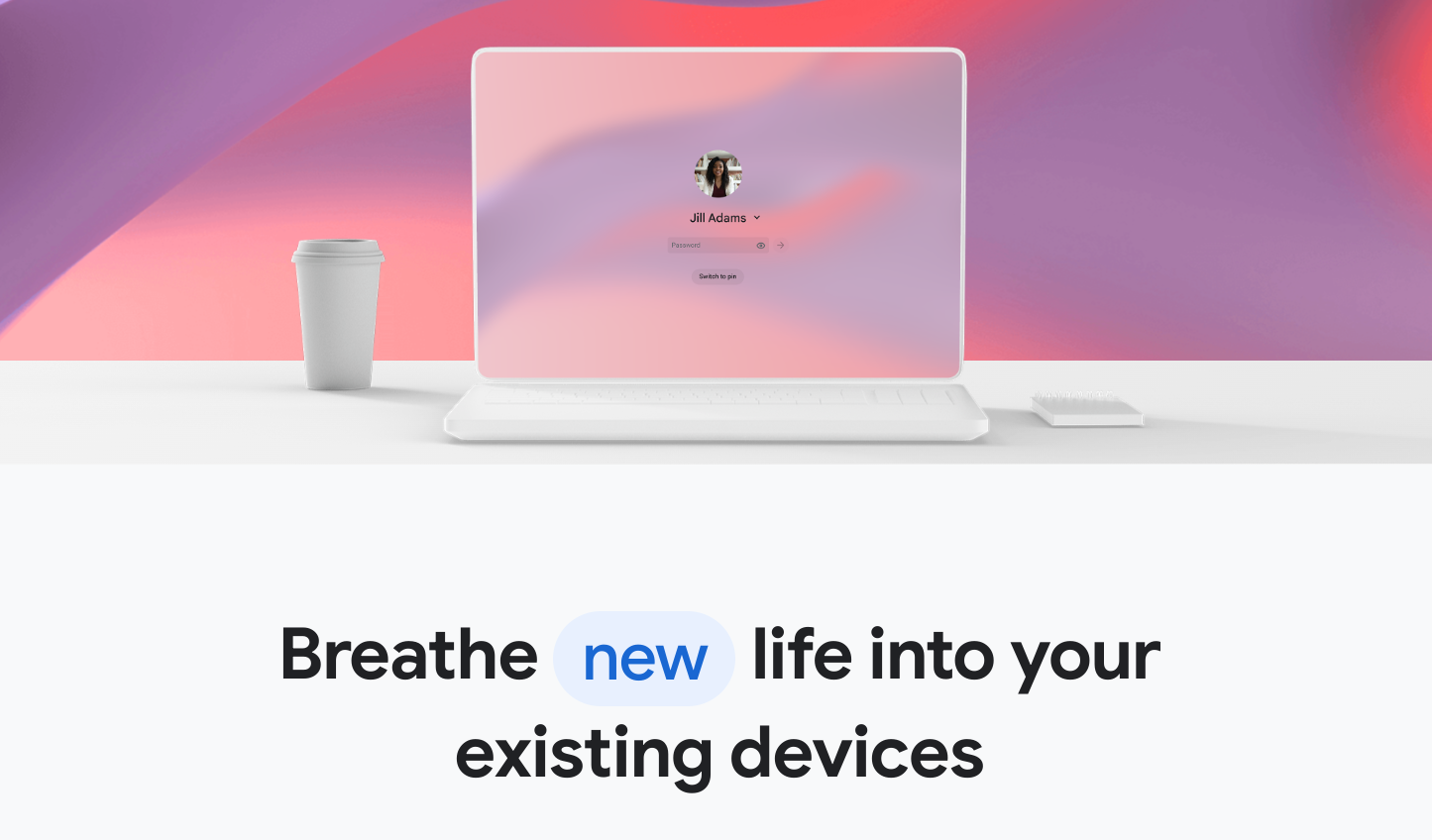 Chrome OS Flex como um substituto do Windows - NotebookCheck.info News