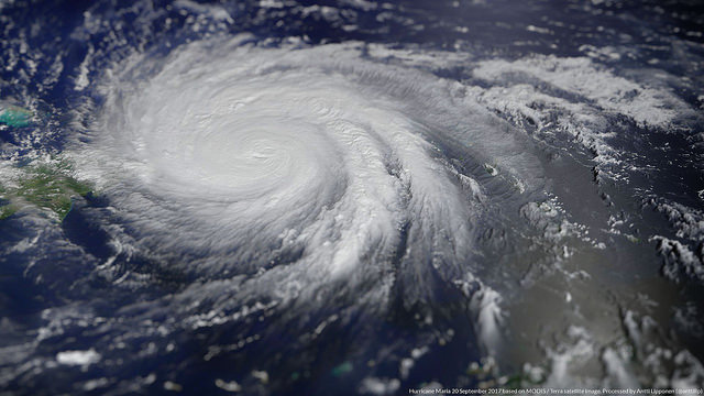 Austerity Natural Disaster | Online Only | n+1