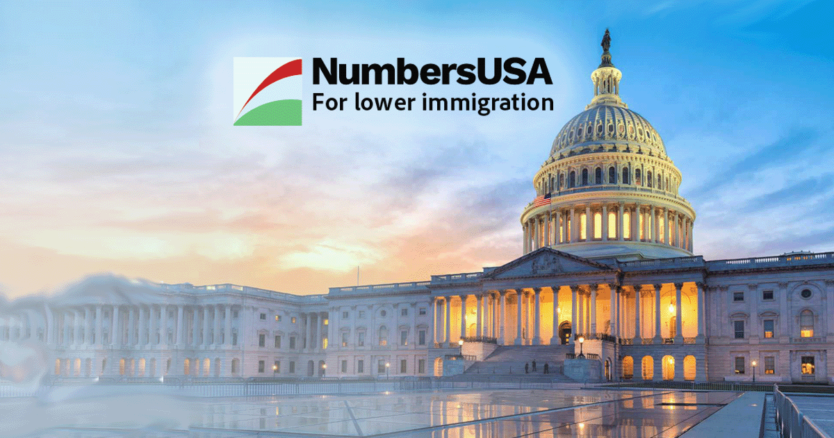 Amnesty 2.0: Phone Today To Oppose - NumbersUSA