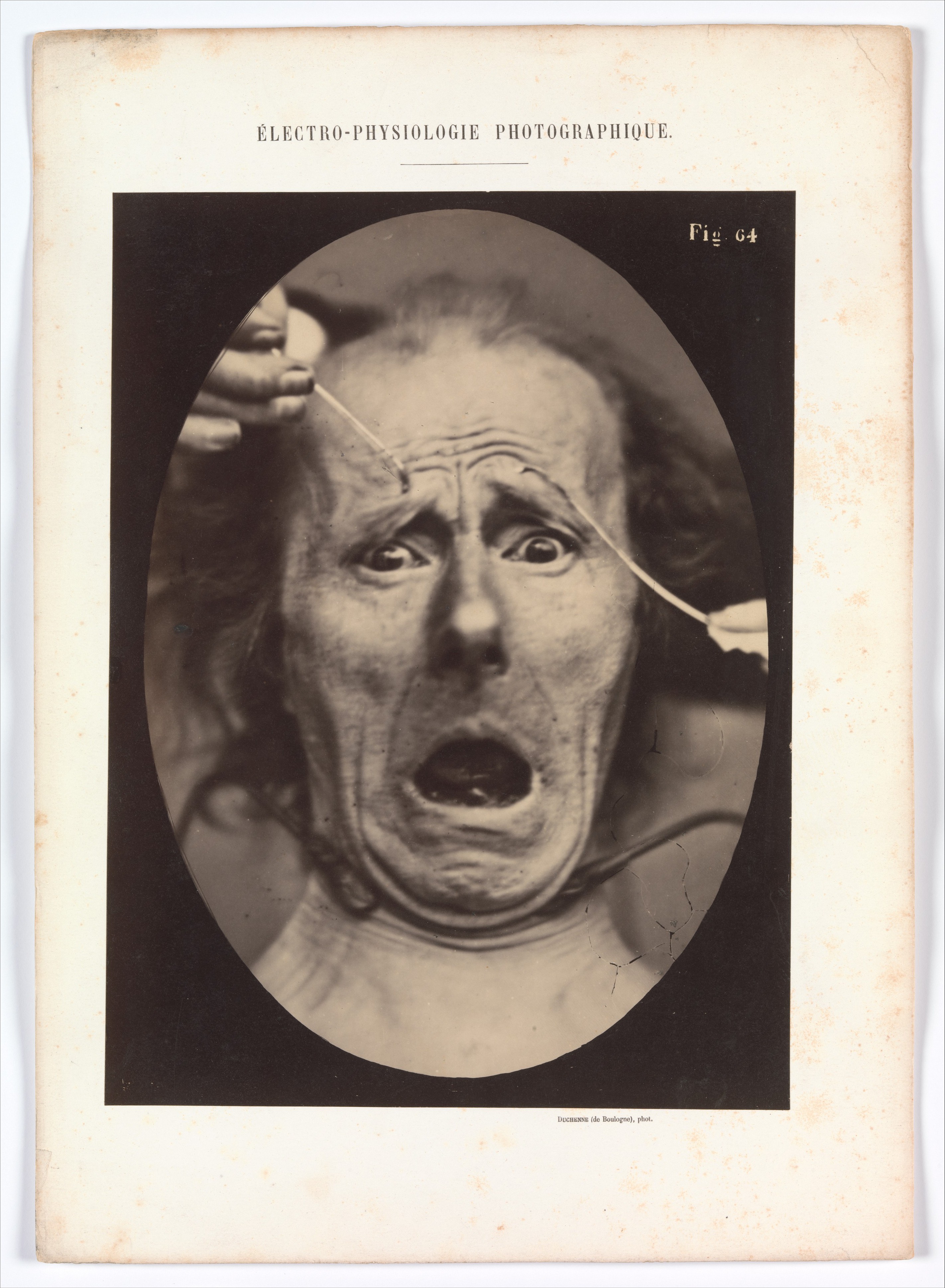 EEK! | S. Schoenbaum | The New York Review of Books