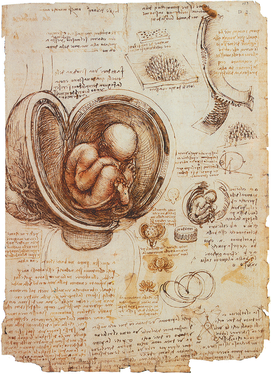 The Divorce of Coitus from Reproduction | Carl Djerassi | The New York Review of Books