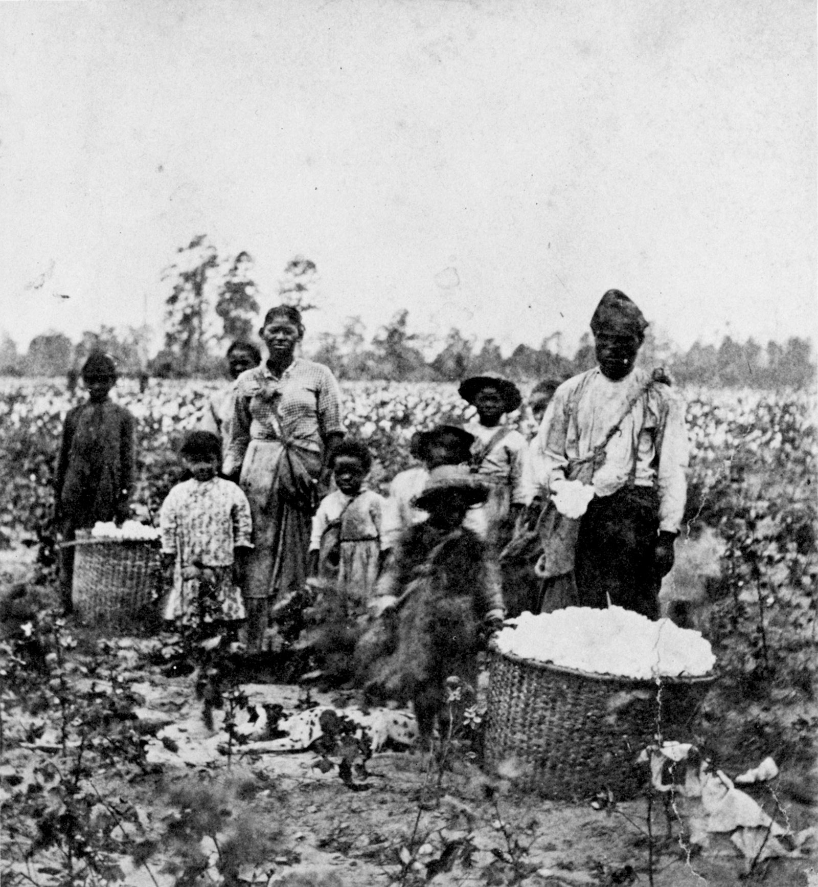 The Slave Owners’ Foreign Policy | David S. Reynolds | The New York Review of Books
