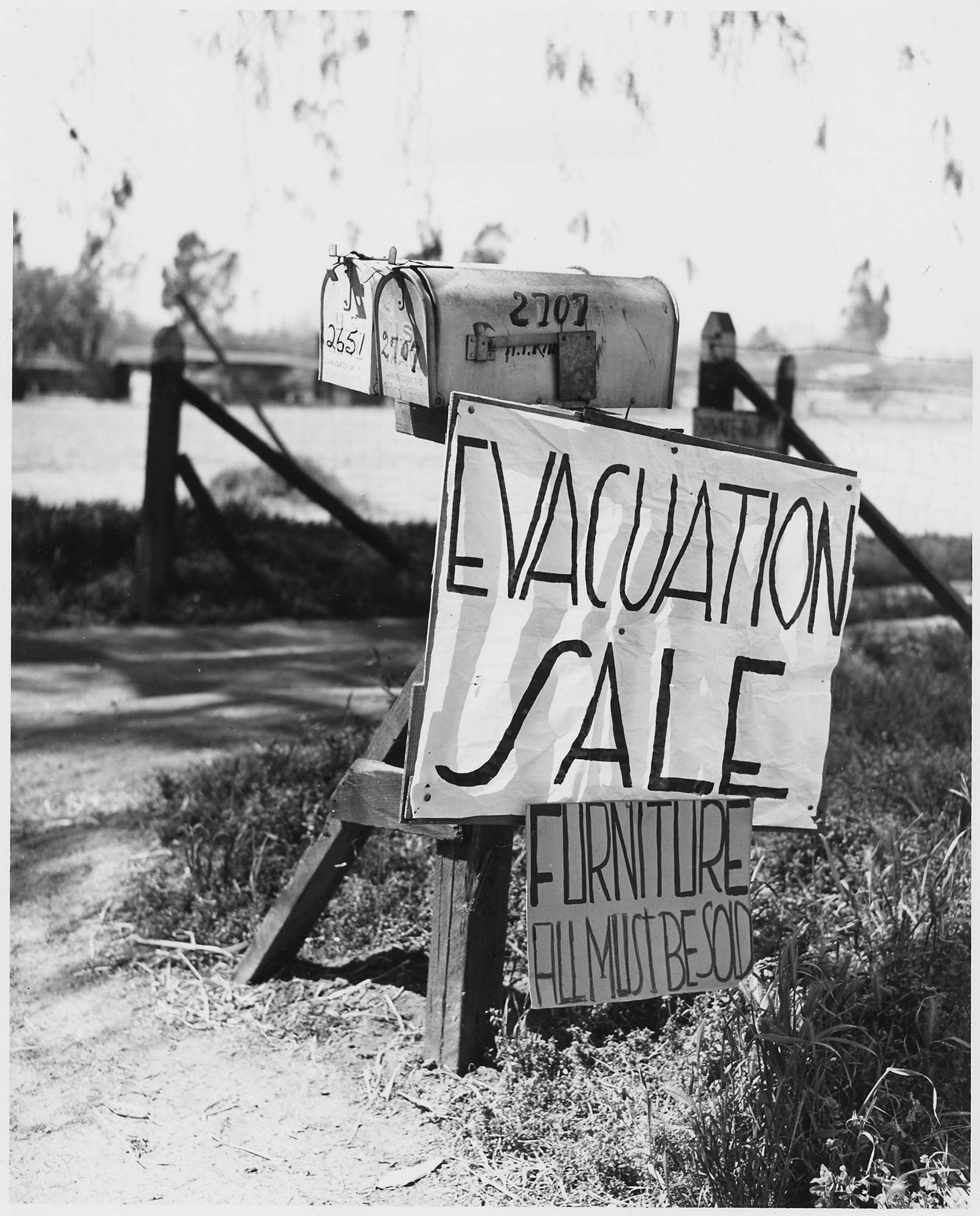 The Housing Vultures | Francesca Mari | The New York Review of Books