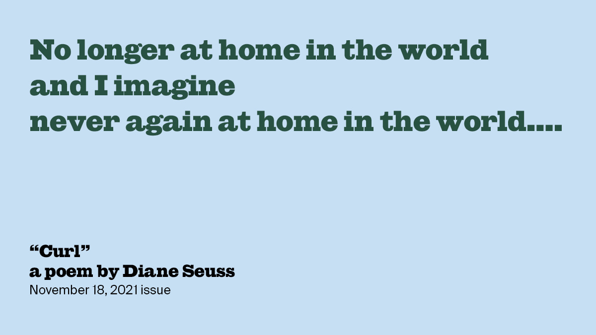 Curl | Diane Seuss | The New York Review of Books