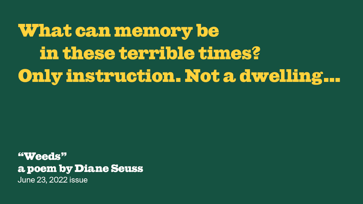 Weeds | Diane Seuss | The New York Review of Books