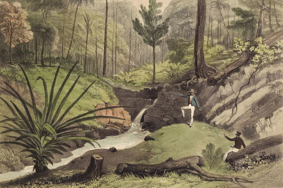Flaubert’s Planet | Aaron Matz | The New York Review of Books