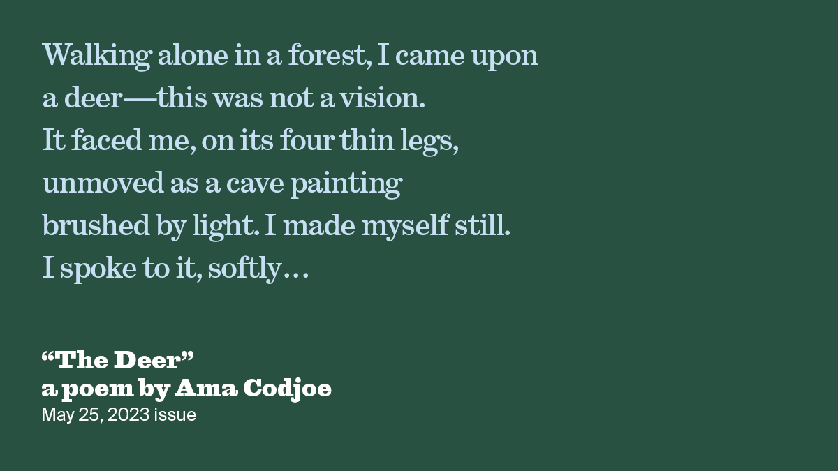 The Deer | Ama Codjoe | The New York Review of Books