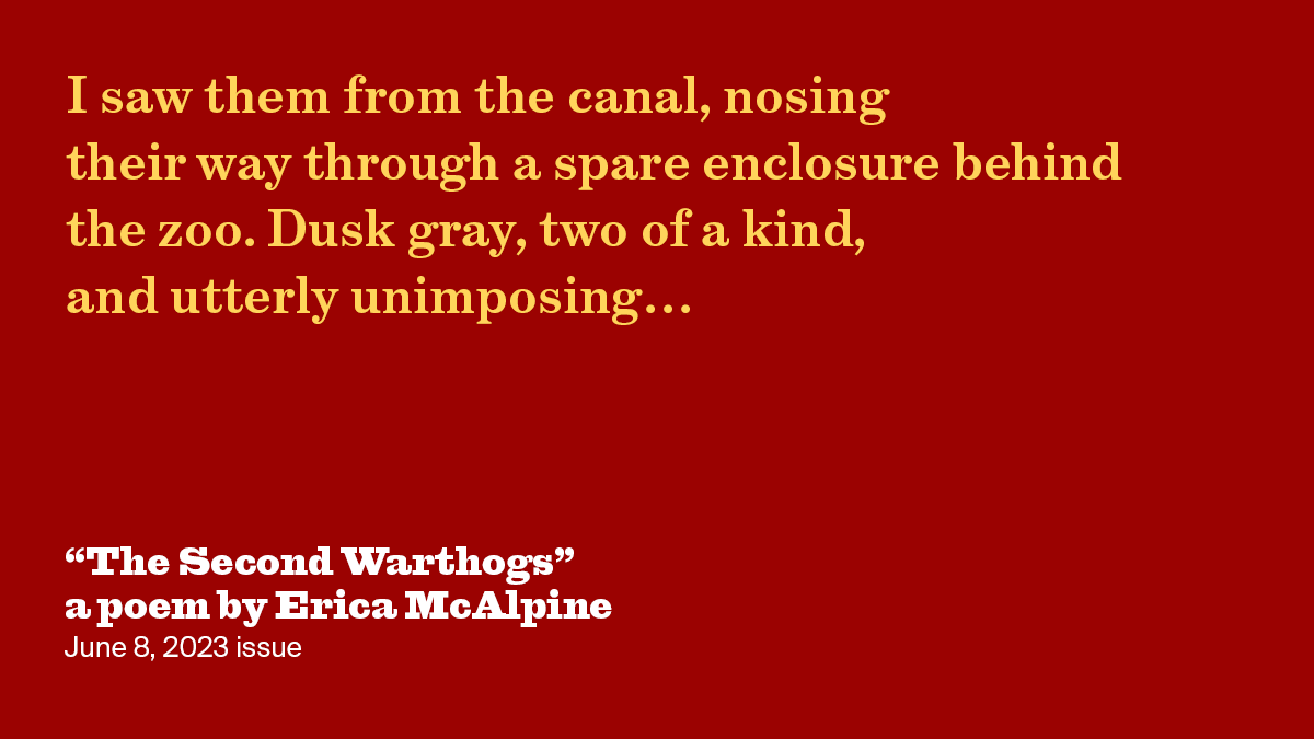 The Second Warthogs | Erica McAlpine | The New York Review of Books