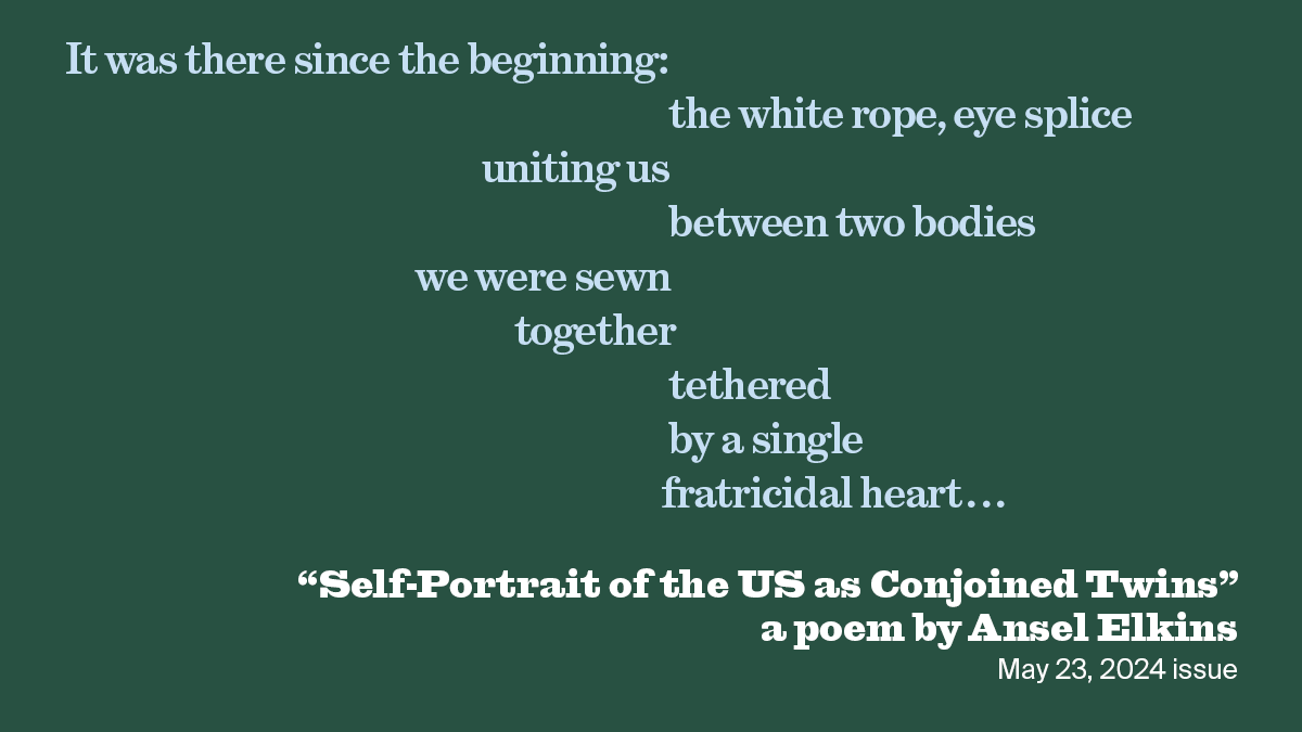 Self-Portrait of the US as Conjoined Twins | Ansel Elkins | The New York Review of Books