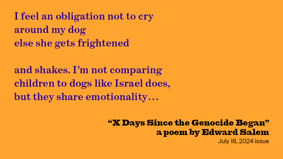 X Days Since the Genocide Began | Edward Salem | The New York Review of Books