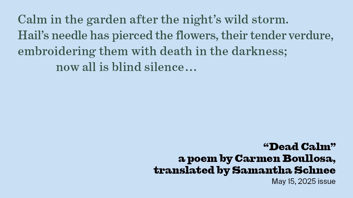 Dead Calm | Carmen Boullosa, Samantha Schnee | The New York Review of Books
