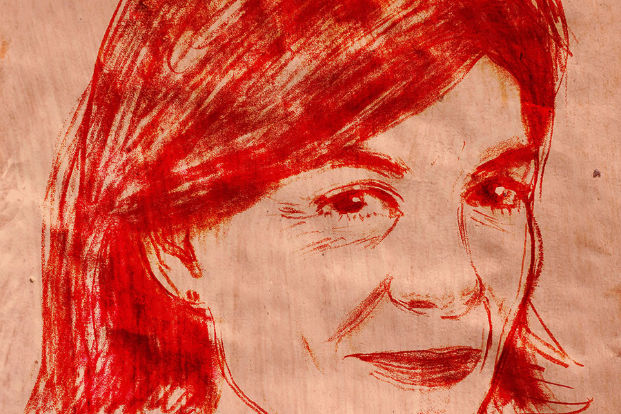 A More Perfect Truth | Lisa Halliday | The New York Review of Books
