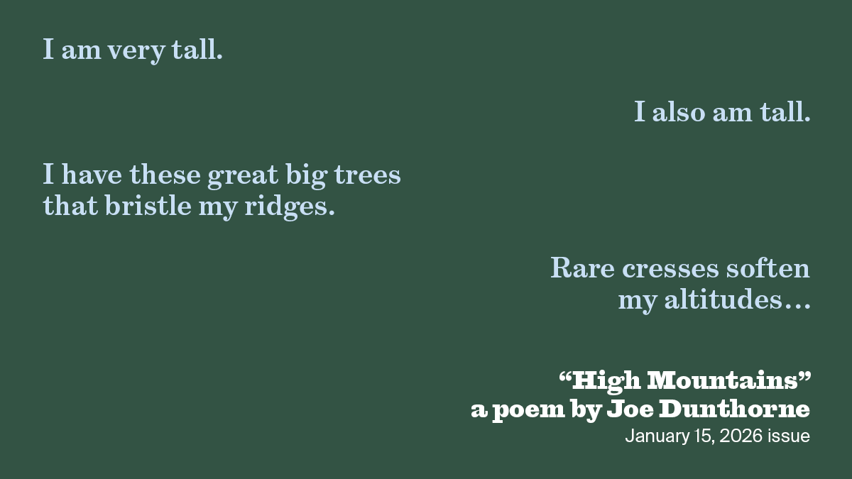 High Mountains | Joe Dunthorne | The New York Review of Books