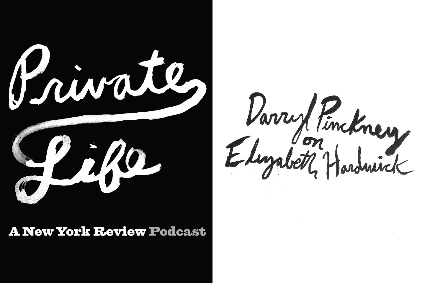 Darryl Pinckney on Memoir, Friendship, and Elizabeth Hardwick | Darryl Pinckney, Jarrett Earnest | The New York Review of Books