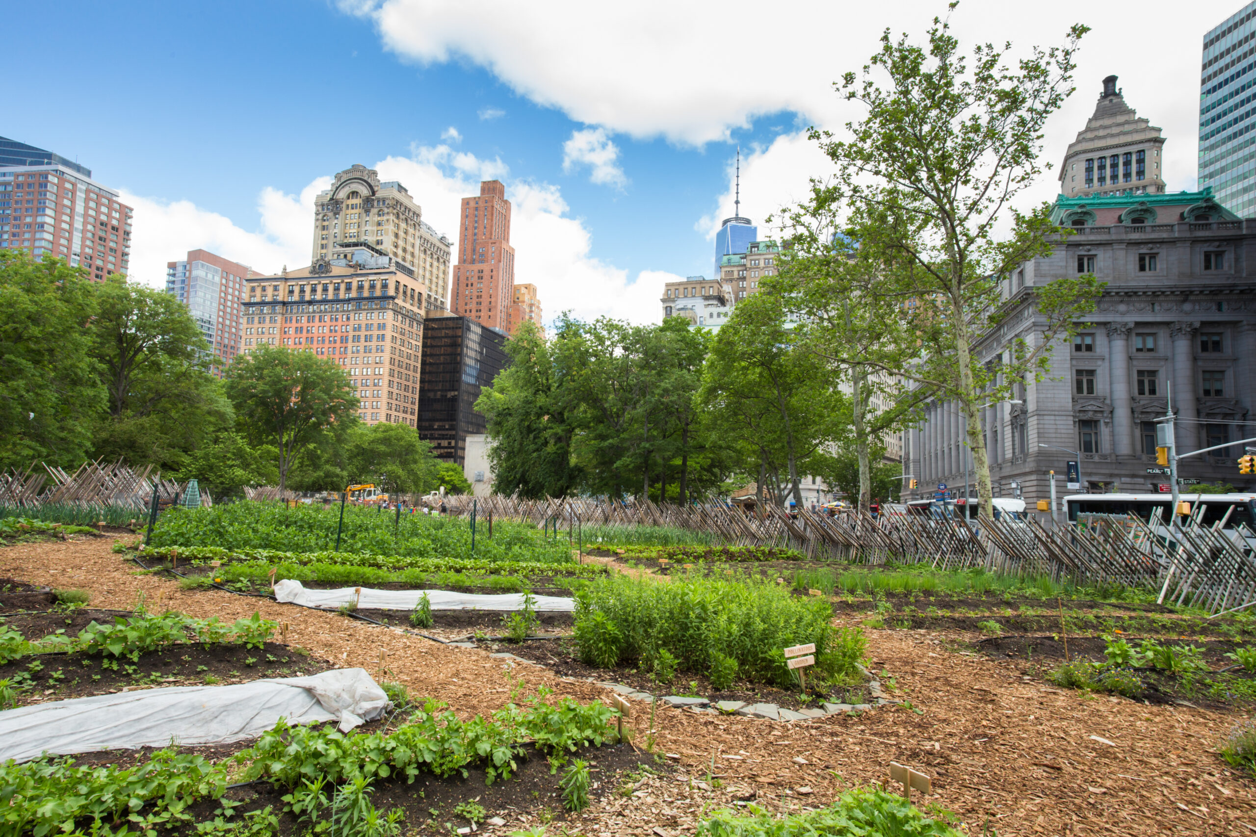 Three Years In, New York's Urban Agriculture Office Has Delivered - NYC Food Policy Center (Hunter College)