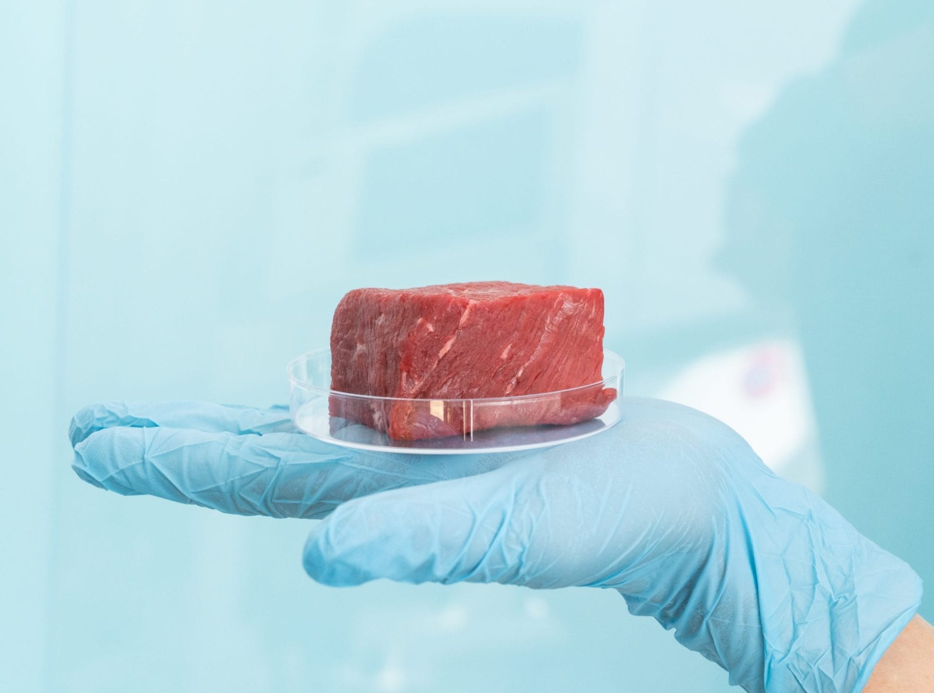 5 Reasons to Support Cultivated Meat – One Green Planet