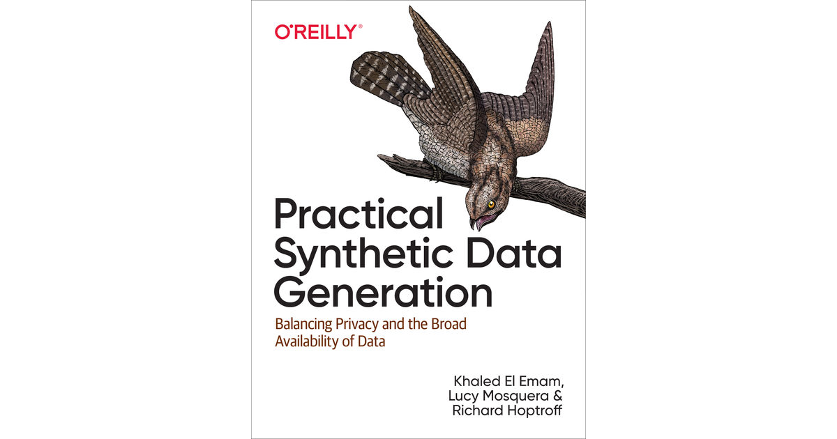 Practical Synthetic Data Generation [Book]