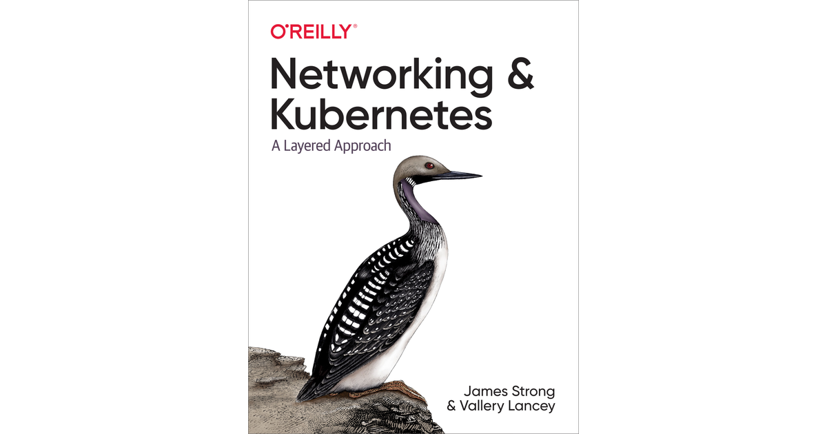Networking and Kubernetes [Book]