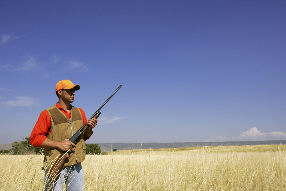 State of Pennsylvania Gun Rights in 2010