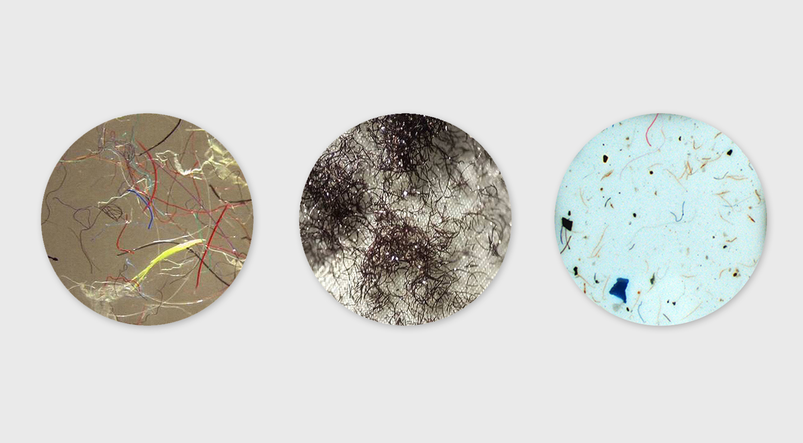An Update on Microfiber Pollution - Patagonia Stories