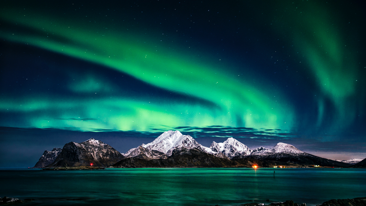 Aurora Zoo | Nature Nation | Blog | Nature | PBS