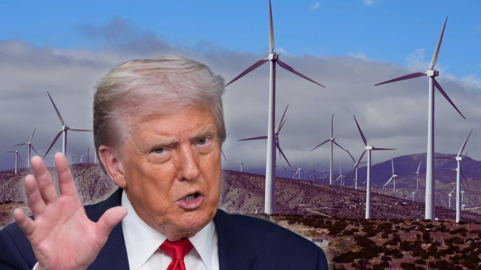 Trump suffers another defeat in his war on renewable energy – People's World