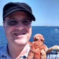 Critique of the Perl 6 RFC Process
