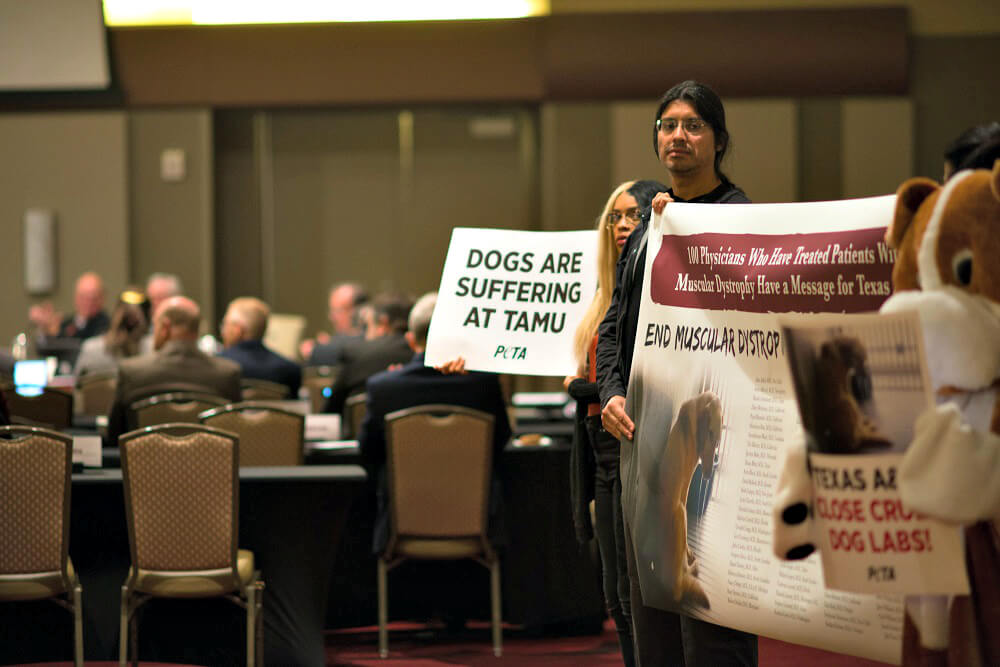 500 Doctors Urge TAMU to Shut Down Its Dog Lab | PETA
