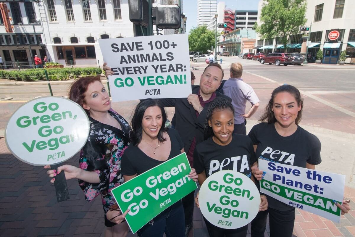 Paris Climate Goals Aren't Being Met—You Can at Least Go Vegan | PETA