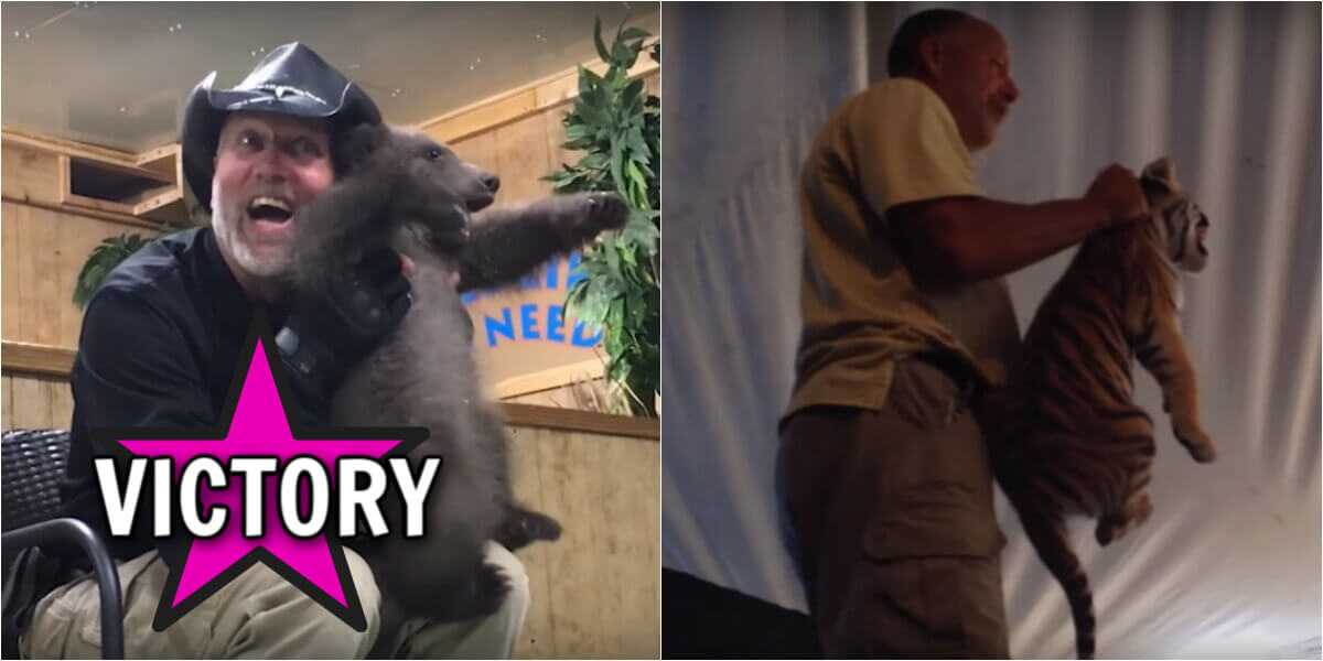 Goodbye, Tim Stark—Exhibitor License Revoked for Good | PETA
