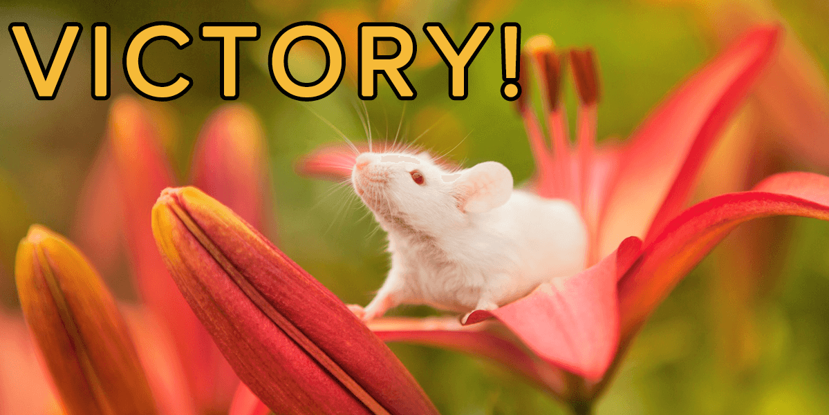 Vitalon Foods Group Bans Animal Tests | PETA Victory