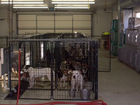 Hoarders Hurt Animals | PETA