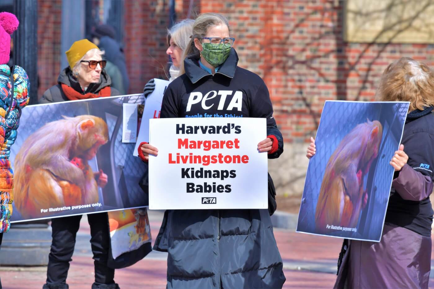 Fresh Allegations Expose Even More Possible Victims of Fraud in Harvard’s Laboratories | PETA