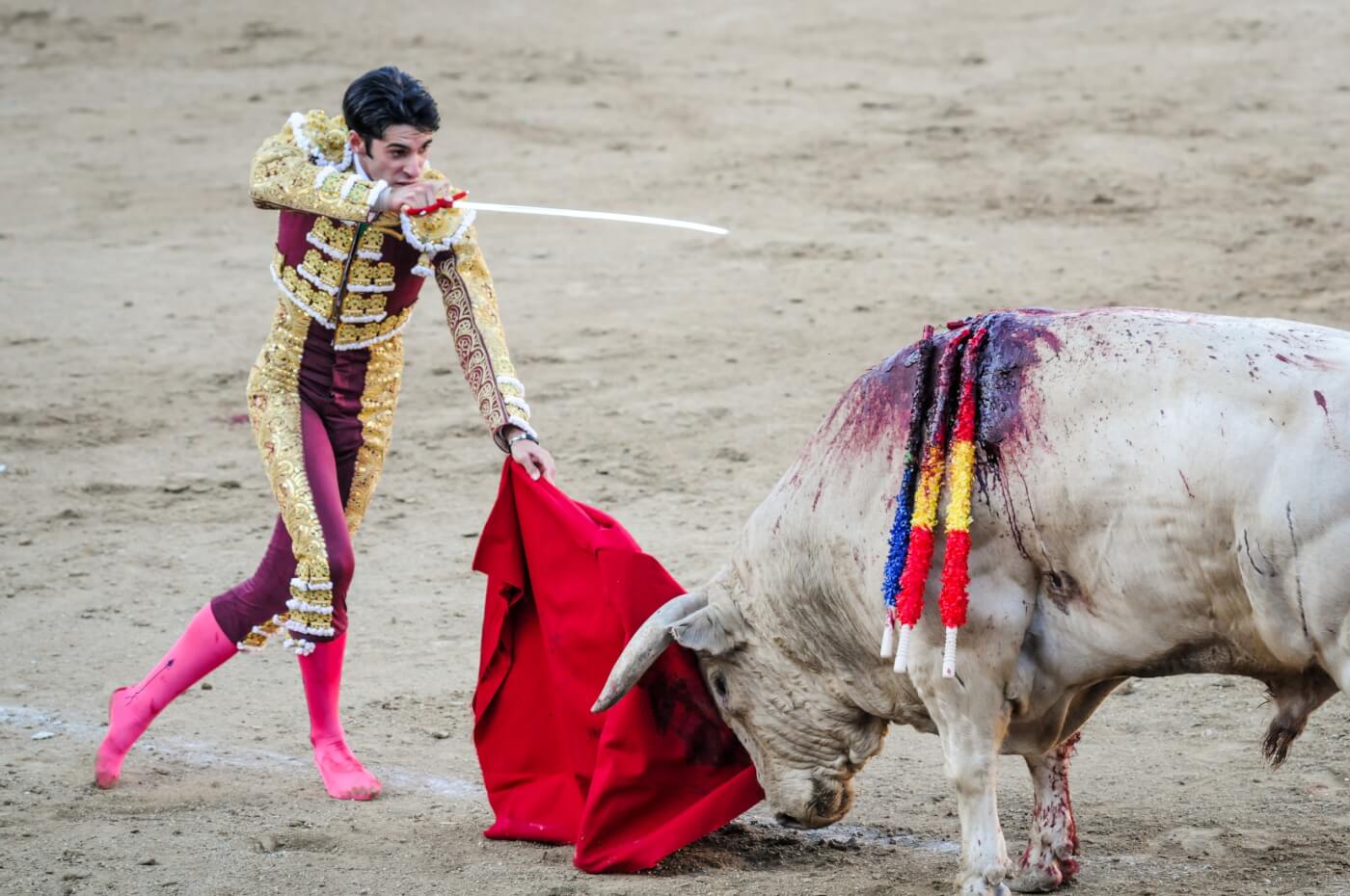 6 Reasons Why Mexico Is Turning Its Back on Bullfighting | PETA