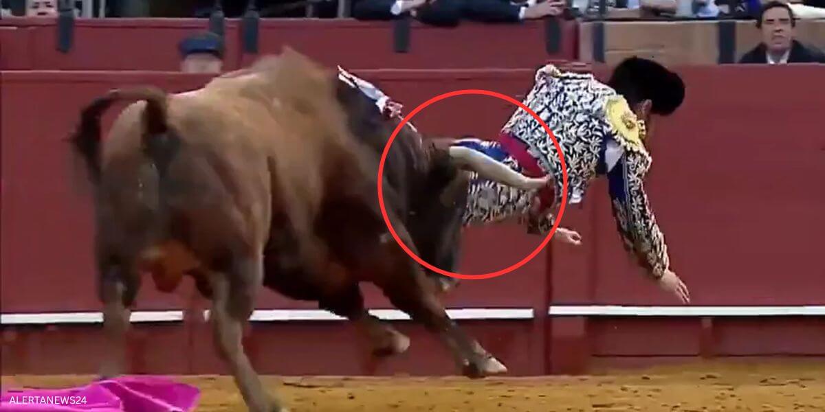 Spain’s 'Most Celebrated' Matador Hospitalized After Retirement Comeback | PETA