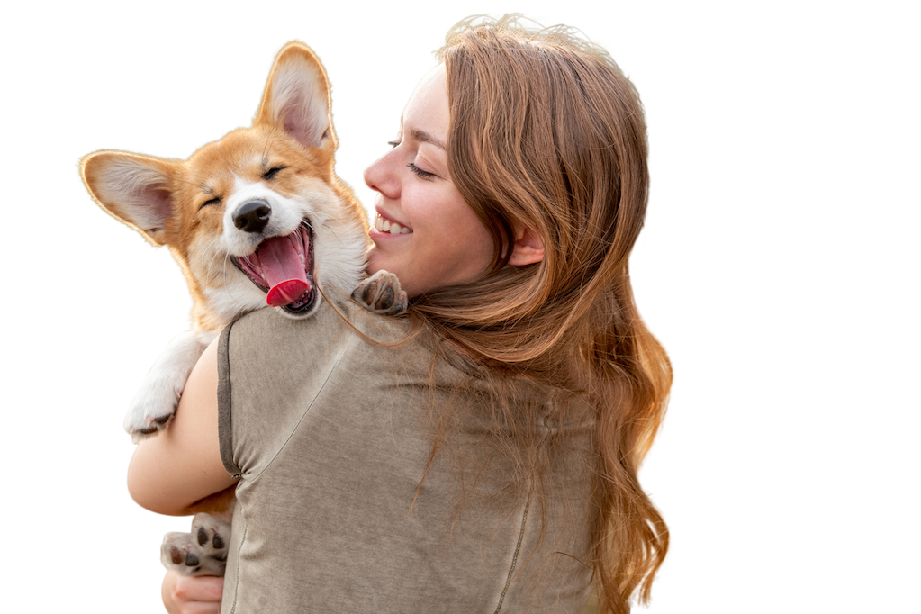 Petful — Honest Pet Product Reviews & Expert Safety Tips