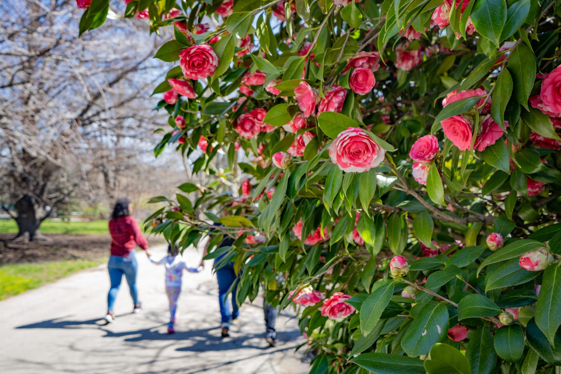 Valentine's Day at the Zoo: Sweet Deals to Celebrate Love – Philadelphia Zoo