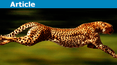 Animal Speed Scaling: Body-Lengths per Second Across Sizes