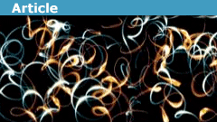 Explore The Vacuum Fluctuation Myth in Quantum Theory