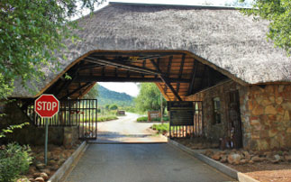 New Corridor to Join Pilanesberg with Madikwe Game Reserve? - News