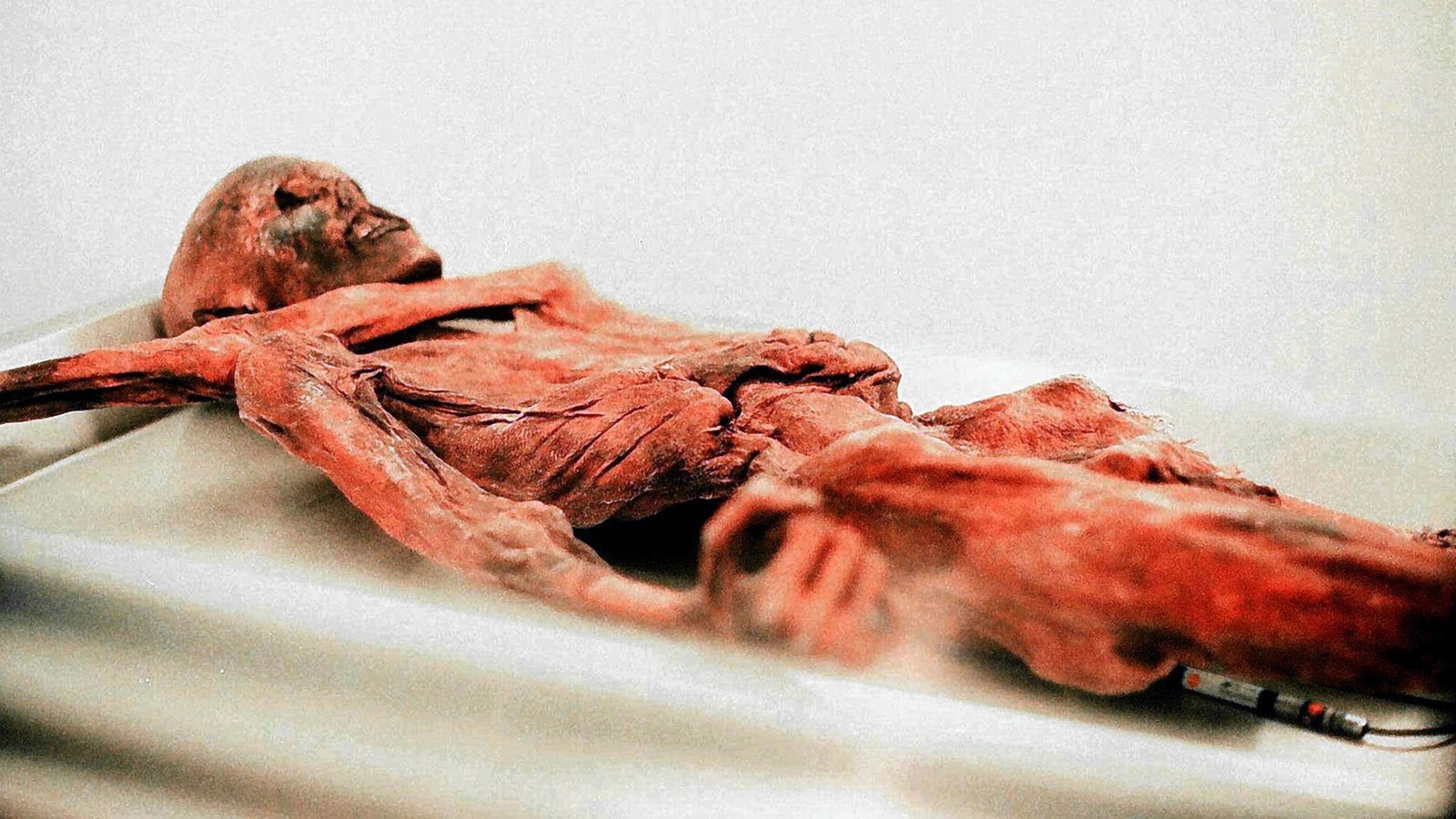 Mumien: Ötzi - Archäologie - Geschichte - Planet Wissen