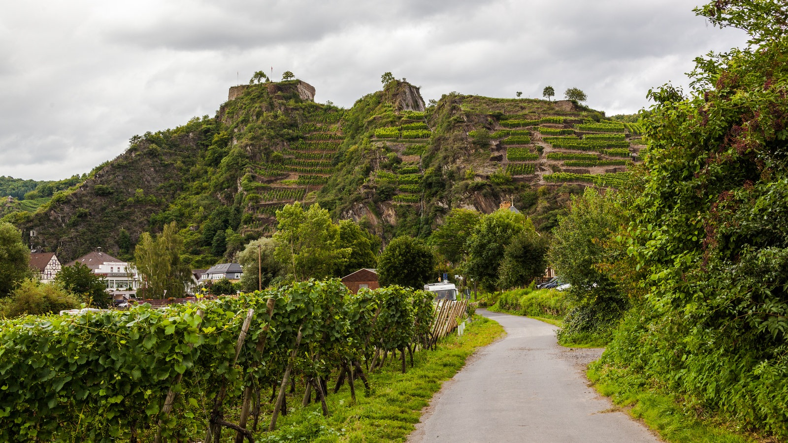 Wein: Deutsche Weinanbaugebiete - Trinken - Gesellschaft - Planet Wissen
