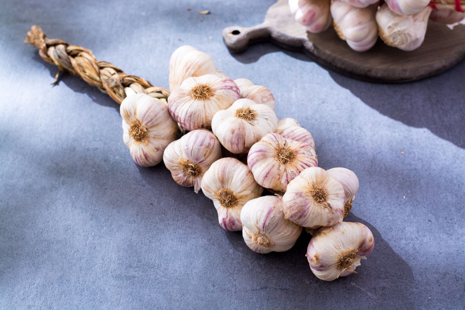 Knoblauch ernten & lagern: Unsere Tipps - Plantura