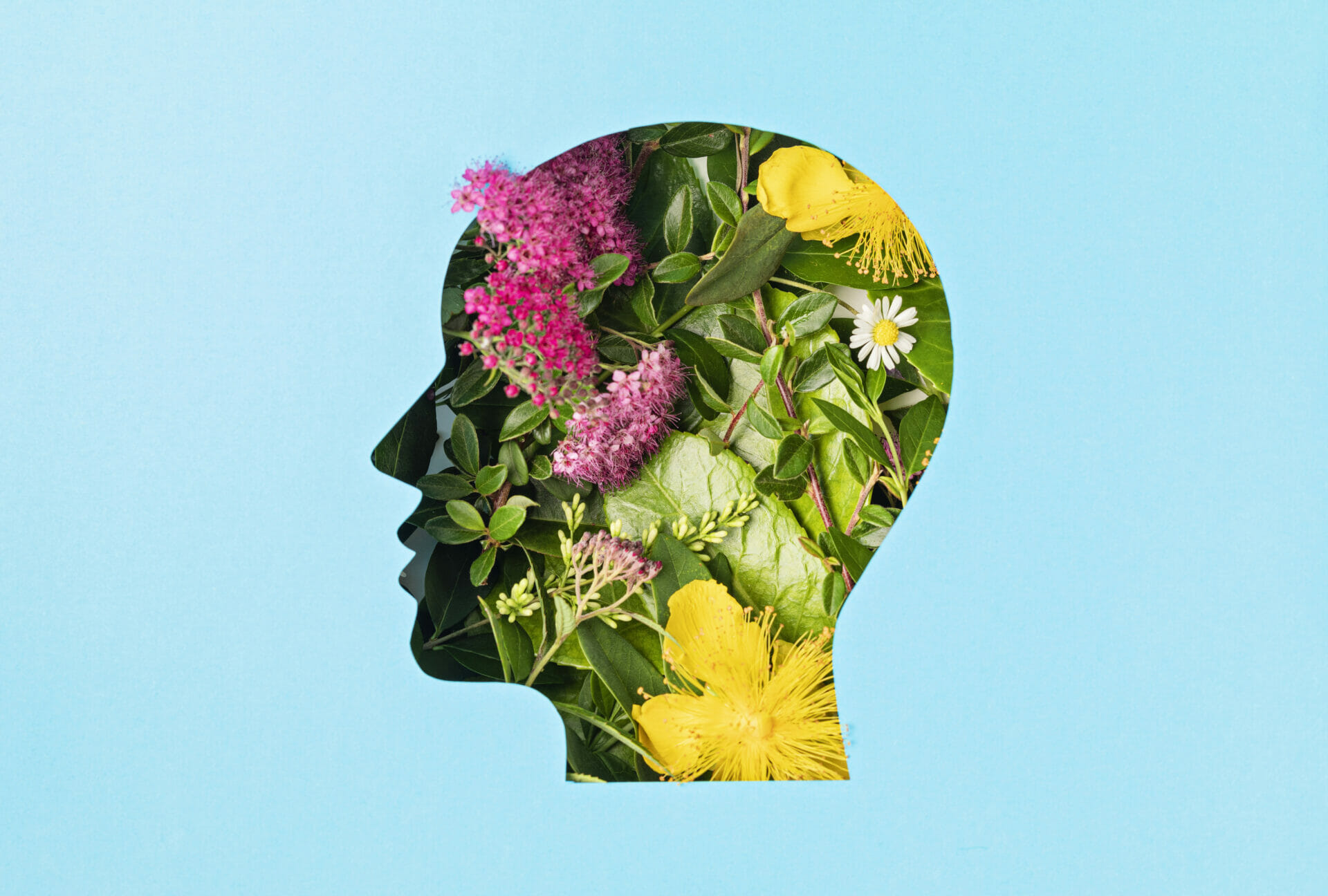 How Civic Engagement Can Boost Your Mental Health