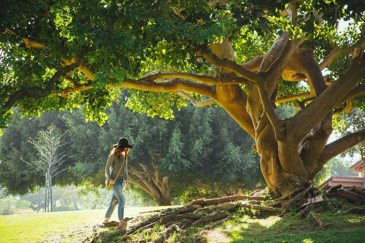 How to support your mental health during a crisis, according to you - Positive News