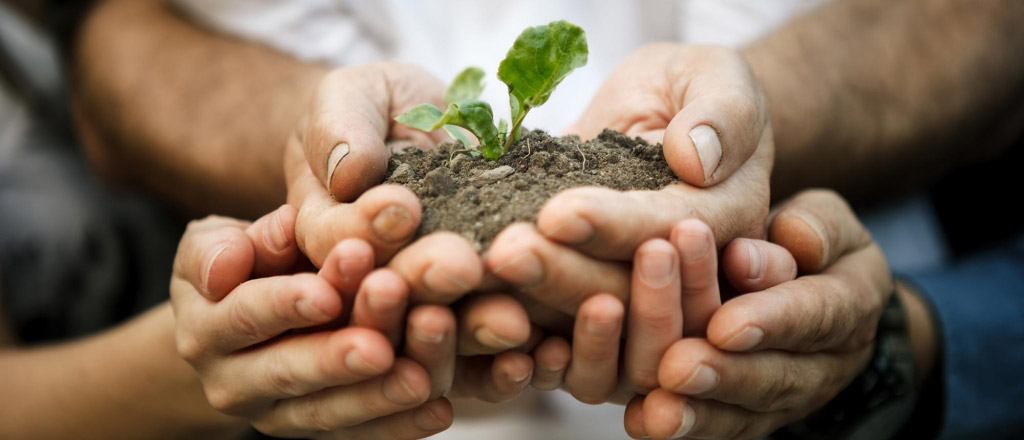 Nest Design cover