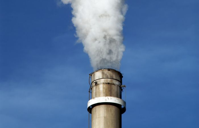Does Environmental Crime Pay? - ProMarket