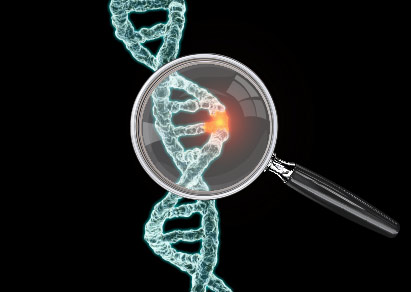 A Crash Course in CRISPR - Promega Connections