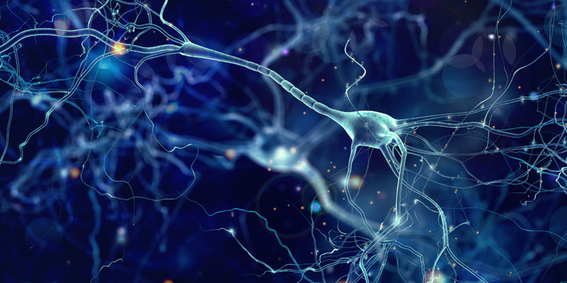 Neuroscientists think a cluster of cells in the brain that stimulate appetite could be a target for eating disorder therapies