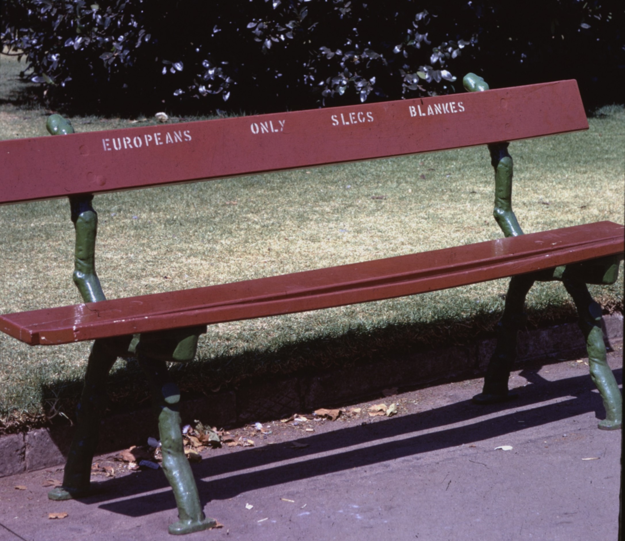 J. M. Coetzee’s “Disgrace” @ 25: A Roundtable - Public Books